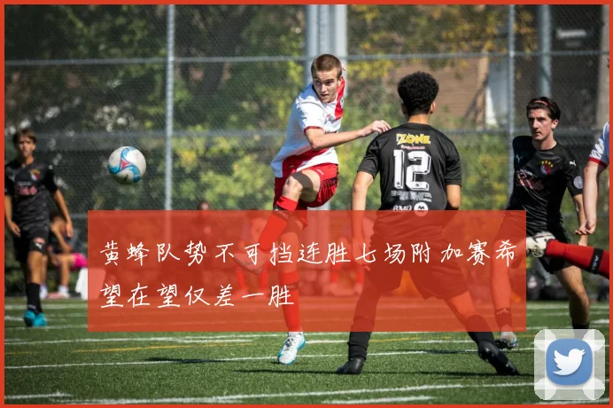 黄蜂队势不可挡连胜七场附加赛希望在望仅差一胜